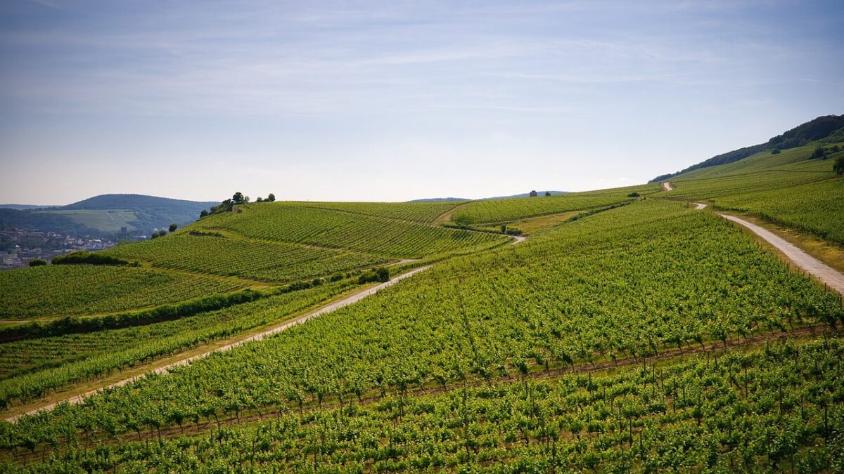 terrassement terrain pente