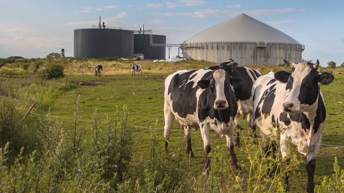 biogaz les avantages du gaz vert